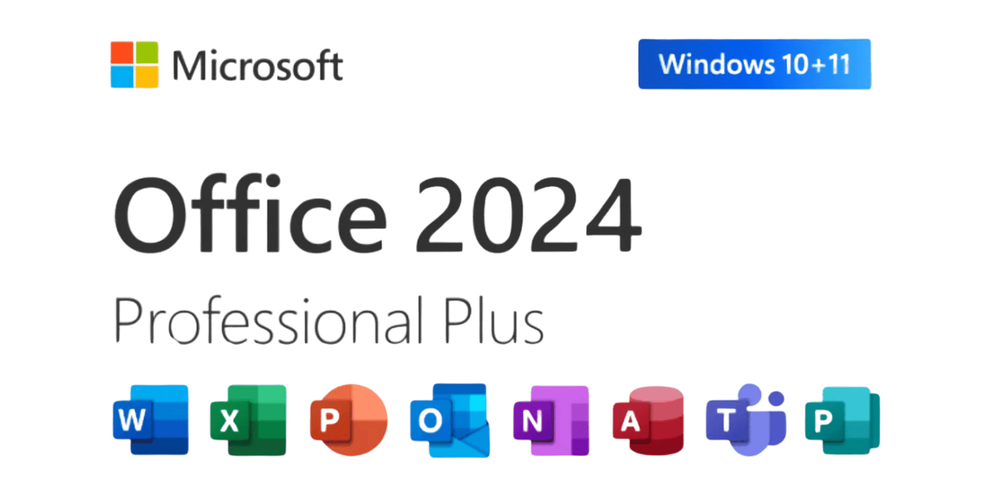 licence microsoft office 2024 pro plus